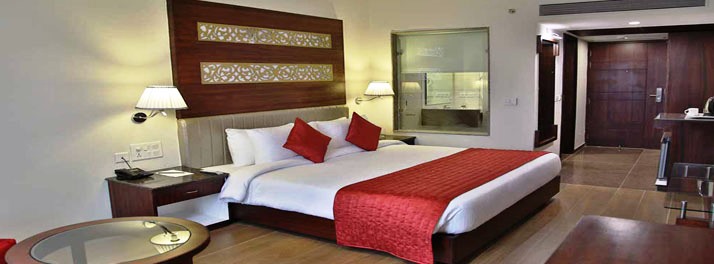 1321/Clarion Inn Sevilla - Zirakpur 10.jpg